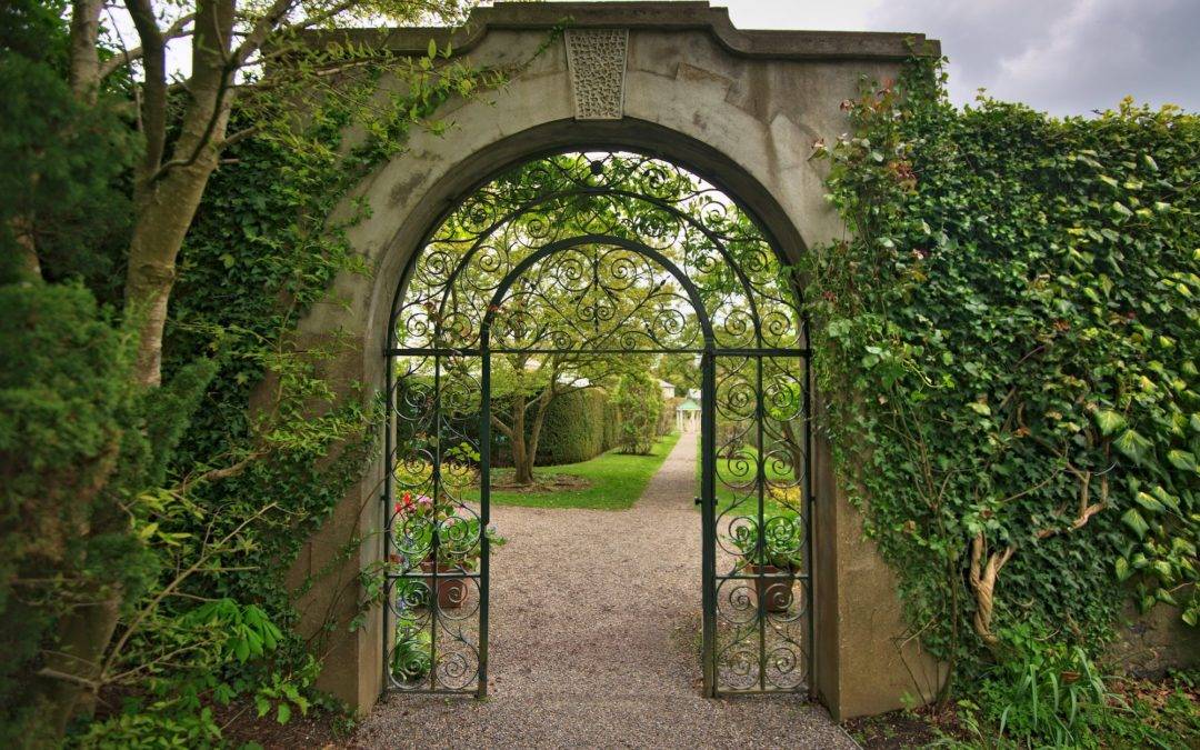 Enjoy Springtime in the Walled Garden at Farmleigh