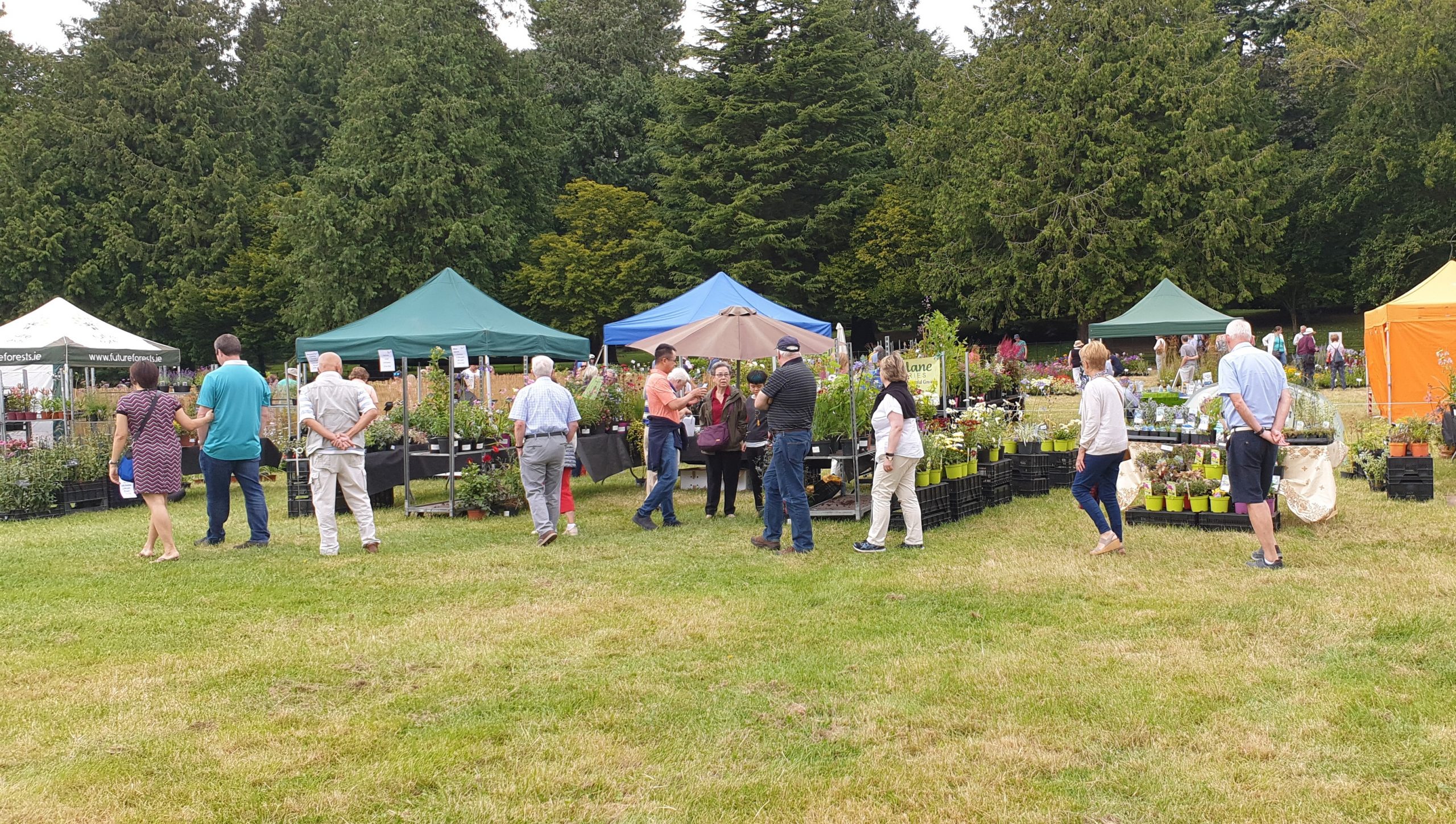 A small crowd of people looking at various plants on a field with tents and trees in the background