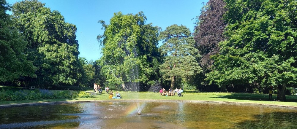 Farmleigh Tree Detectives