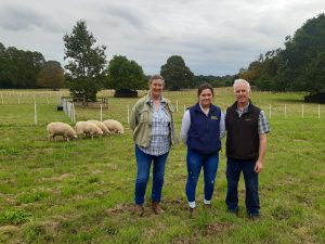 Galway sheep with Carmel, Jerry and Shauna from the Galway Sheep Society