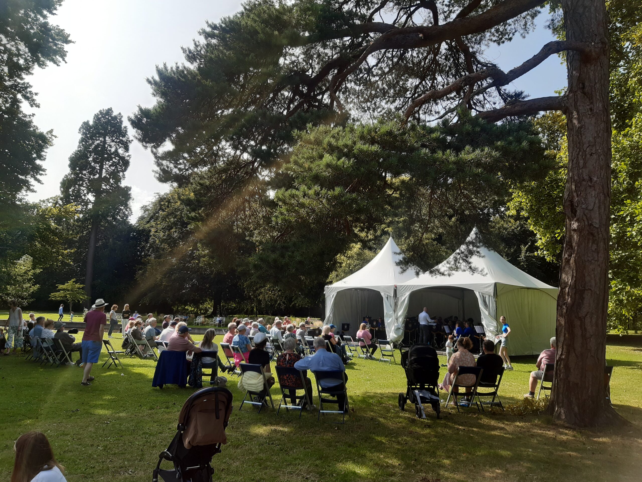 Brass band performing in white marquee on sunny lawn in front of evergreen trees
